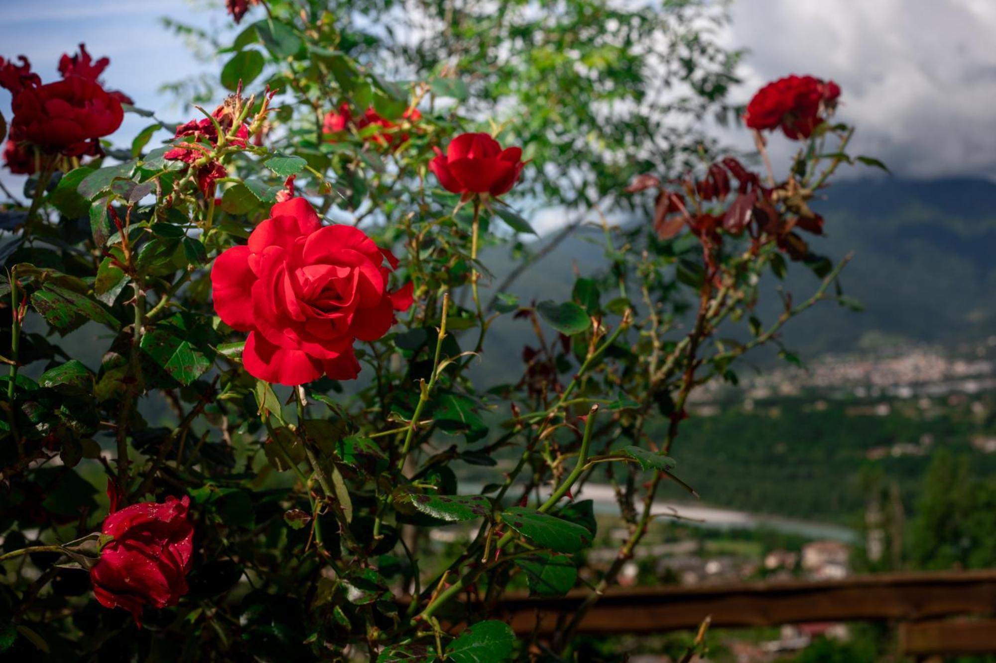 Agriturismo Riva Dei Coz Sequsino Ngoại thất bức ảnh